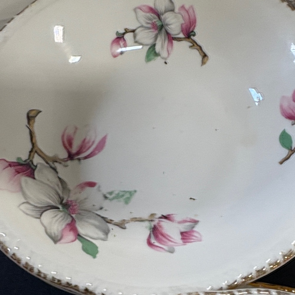 Homer Laughlin Dogwood (Liberty) Fruit/Dessert Bowls and saucers - Picture 4 of 6